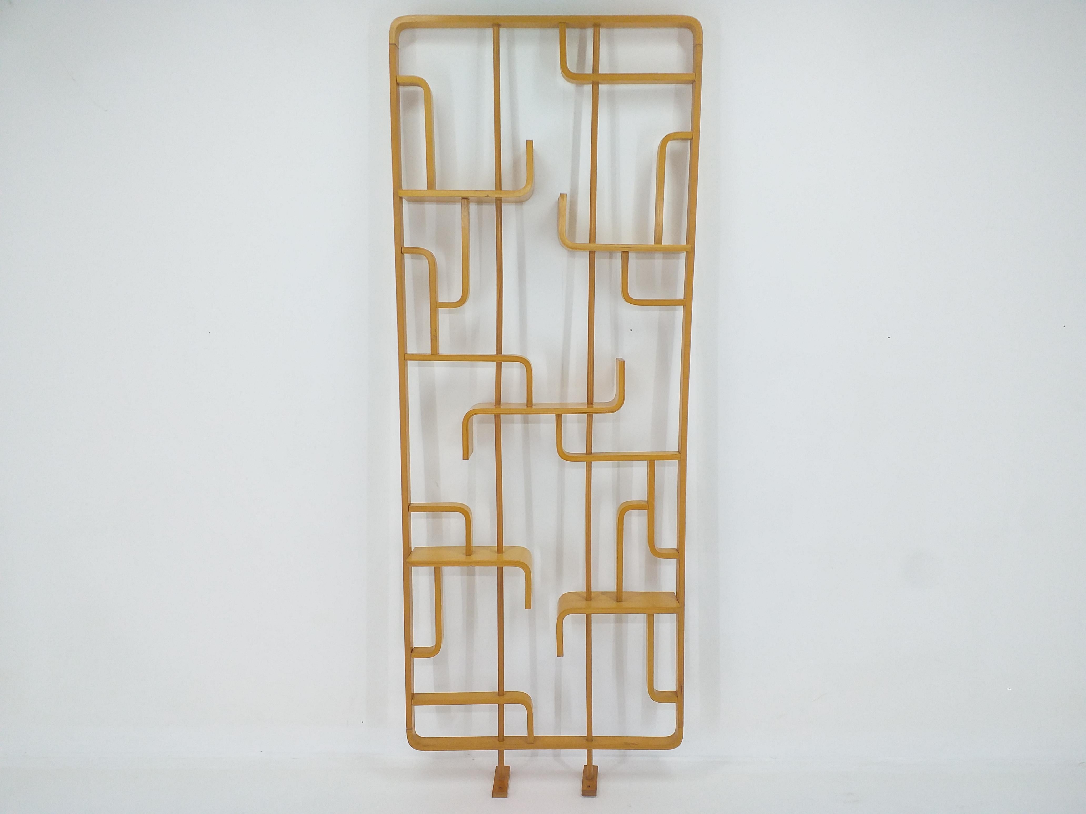 Mid Century Room Divider Wall Unit, Ludvik Volak for Drevopodnik Holesov, 1960s 2