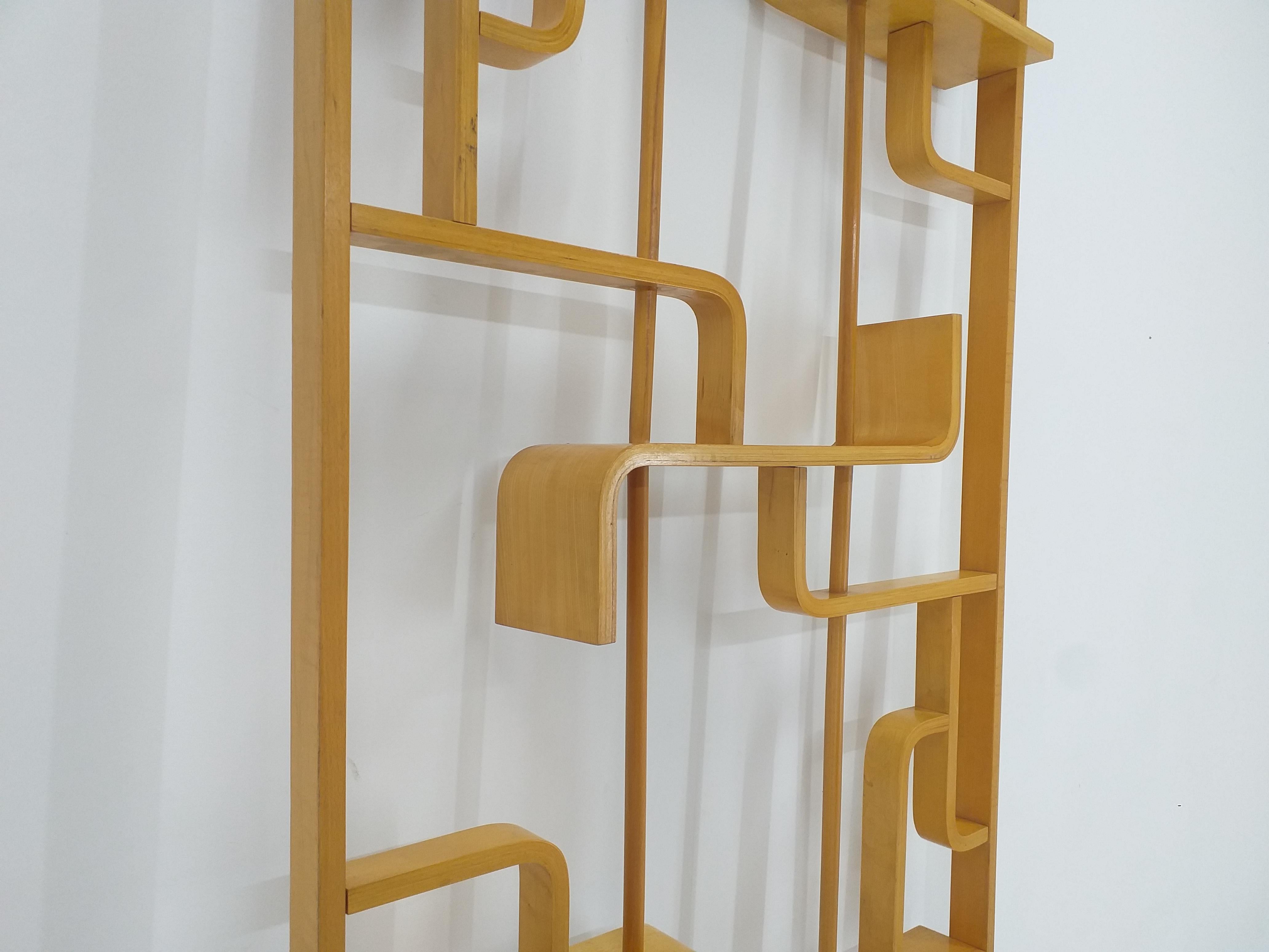 Wood Mid Century Room Divider Wall Unit, Ludvik Volak for Drevopodnik Holesov, 1960s