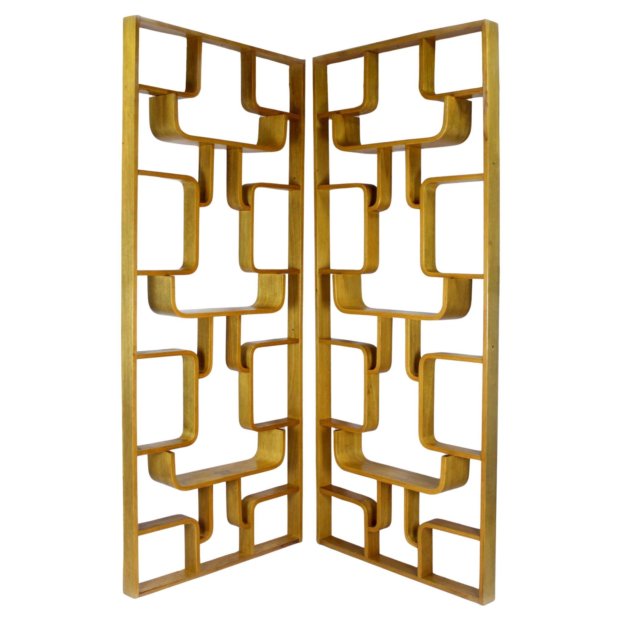 Mid Century Room Dividers By Ludvik Volak For Drevopodnik Holesov, 1960s, Set Of