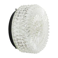 Mid-Century Round Clear Glass Sconces Flush Mounts