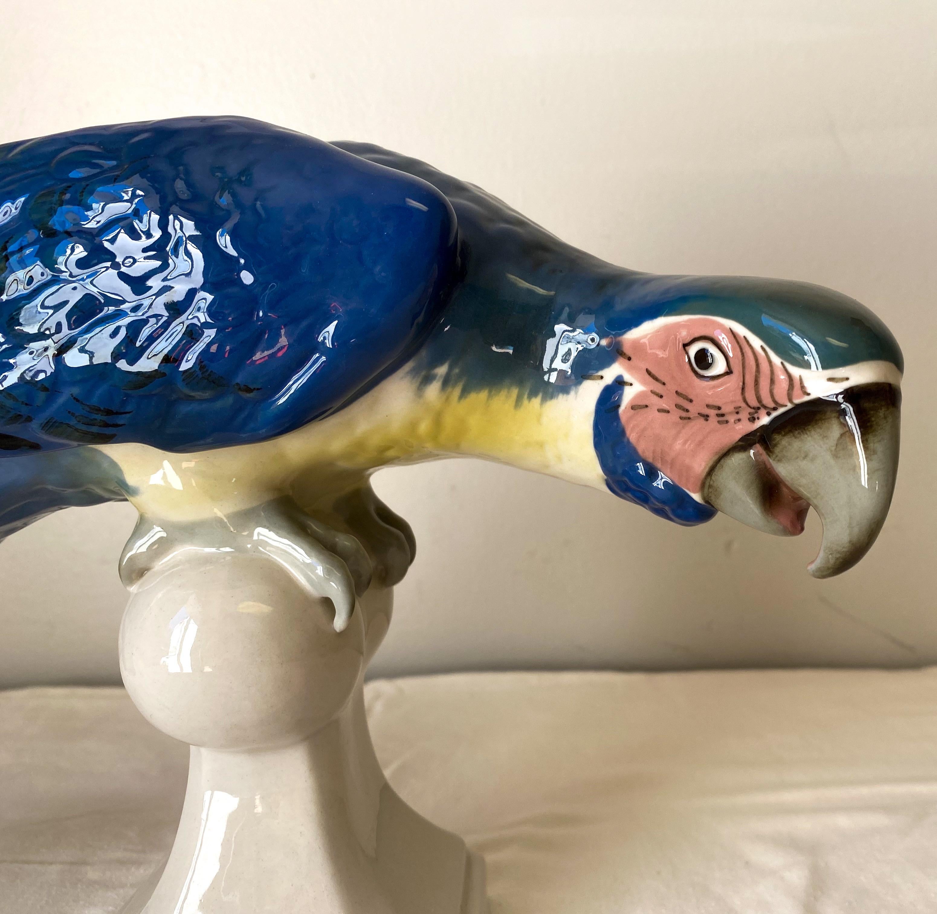This is a lovely mid-century Royal Dux porcelain perching Macaw parrot. It is marked and in very good condition. It was hand crafted in Czechoslovakia.