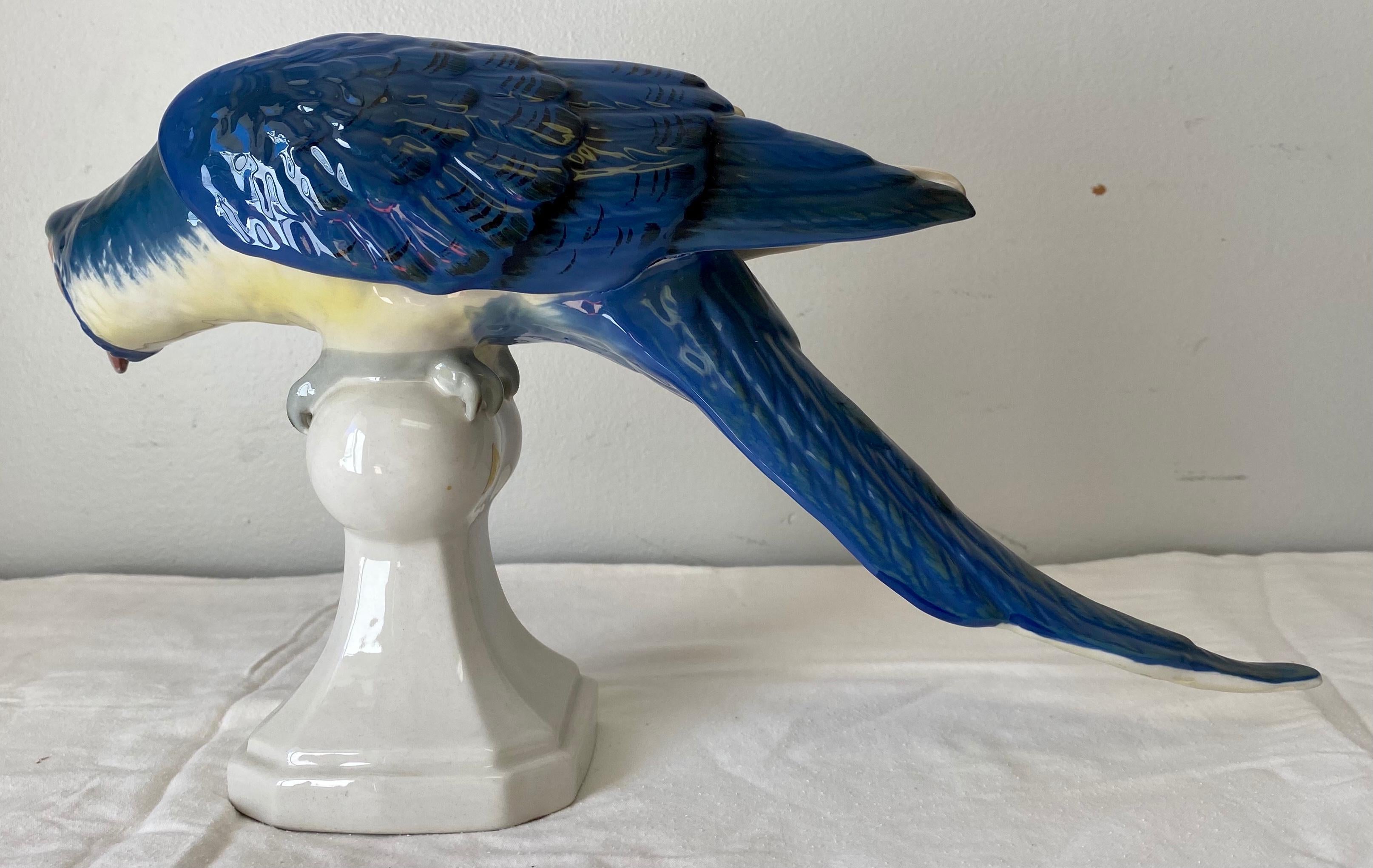 royal blue parrot