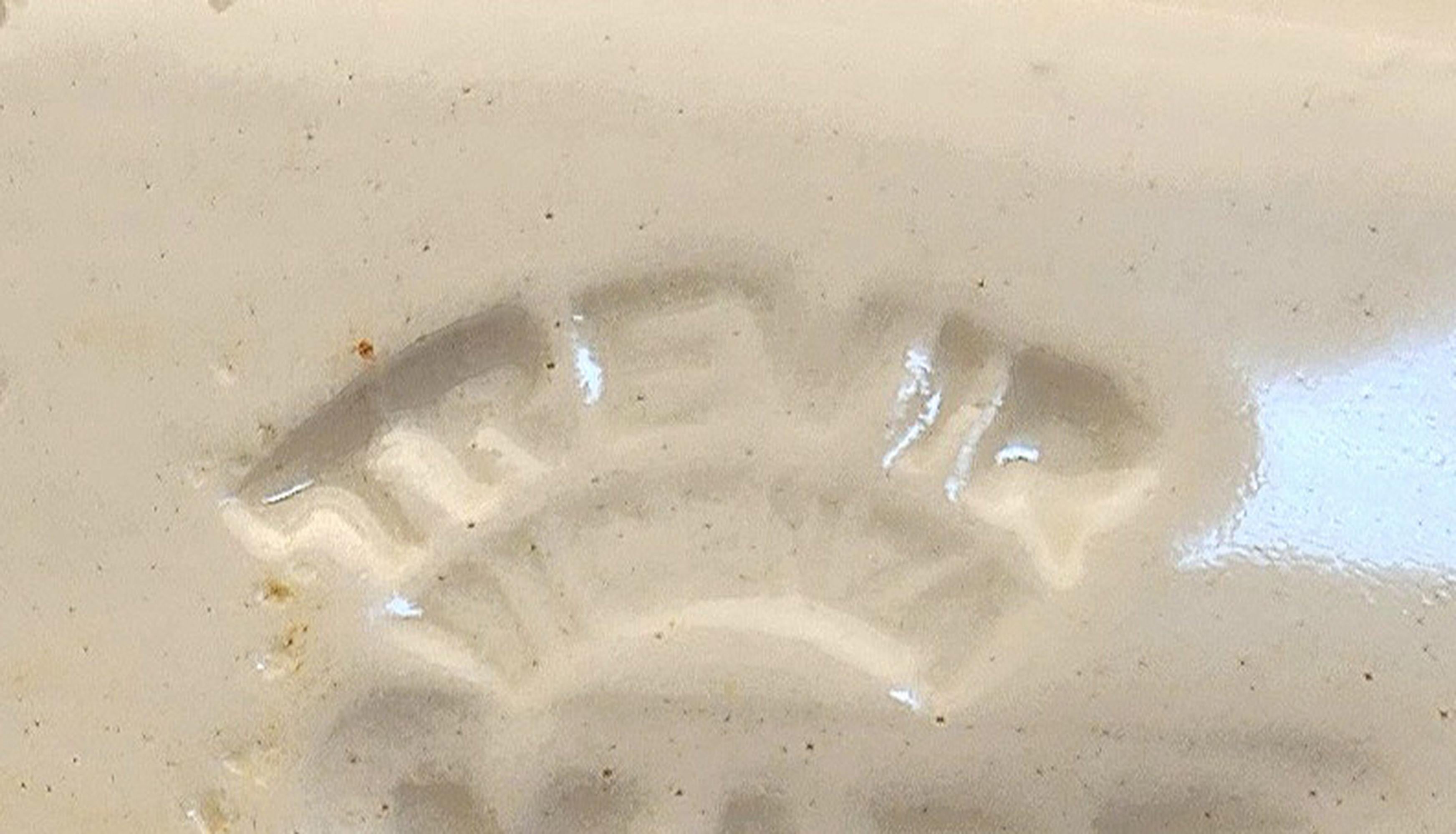 Mid-Century Rural Decorative Wall Porcelain Made by Trevir from Vincenza, Italy For Sale 1