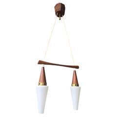 Mid-Century Scandinavian Teak Brass Wall Lights and Pendant, 1960s