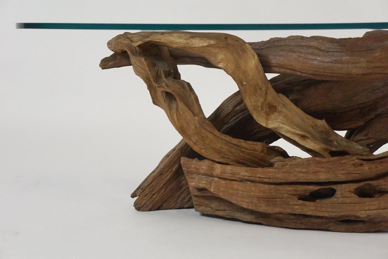 Midcentury Sculptural Driftwood Coffee Table with Biomorphic Freeform