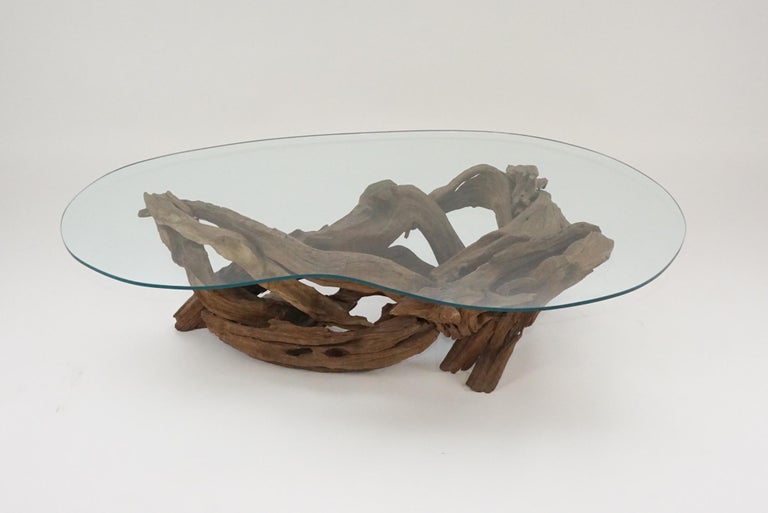Midcentury Sculptural Driftwood Coffee Table with Biomorphic Freeform Glass Top at 1stDibs
