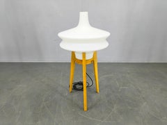 Lampada da terra scultorea di metà secolo con paralume in vetro, anni '70