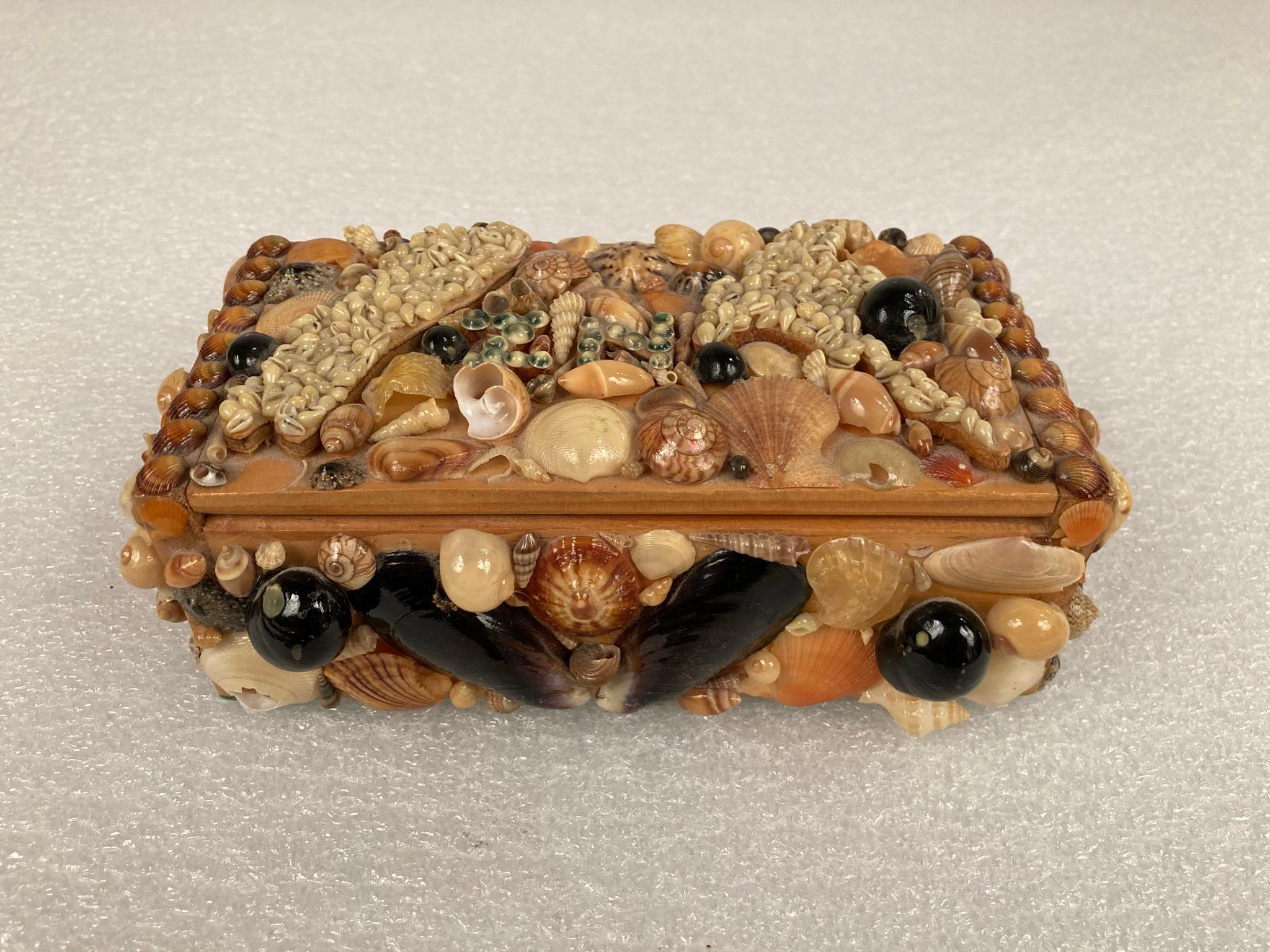 Mid Century Sea Shell Trinket Box 3