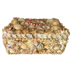 Boîte à bibelots en coquillage de mer du milieu du siècle