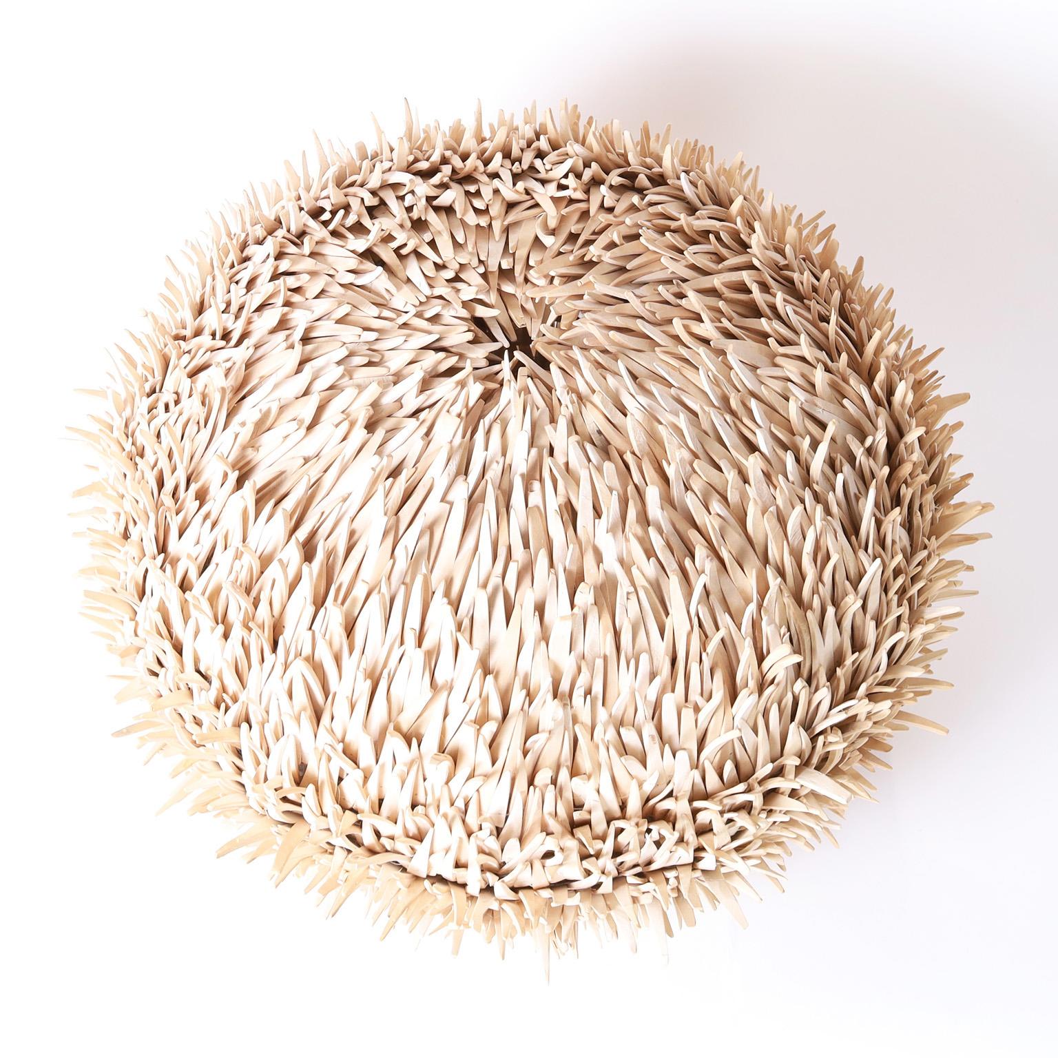 sea urchin light