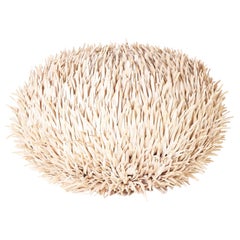 Mid-Century Sea Urchin Table Lamp