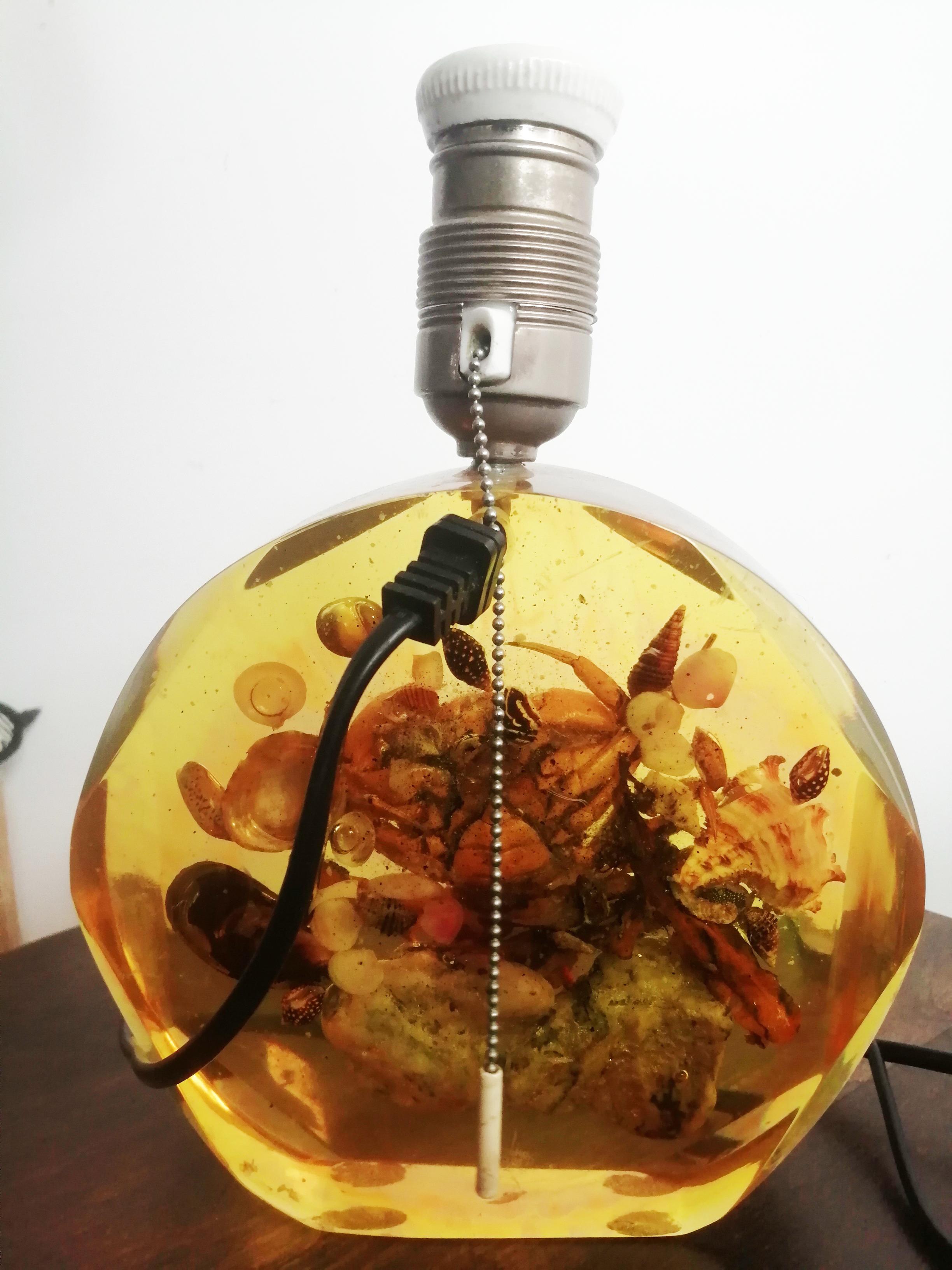 Rare lampe de table spécimens naturels coquillages et résine, original Midcentury en vente 8