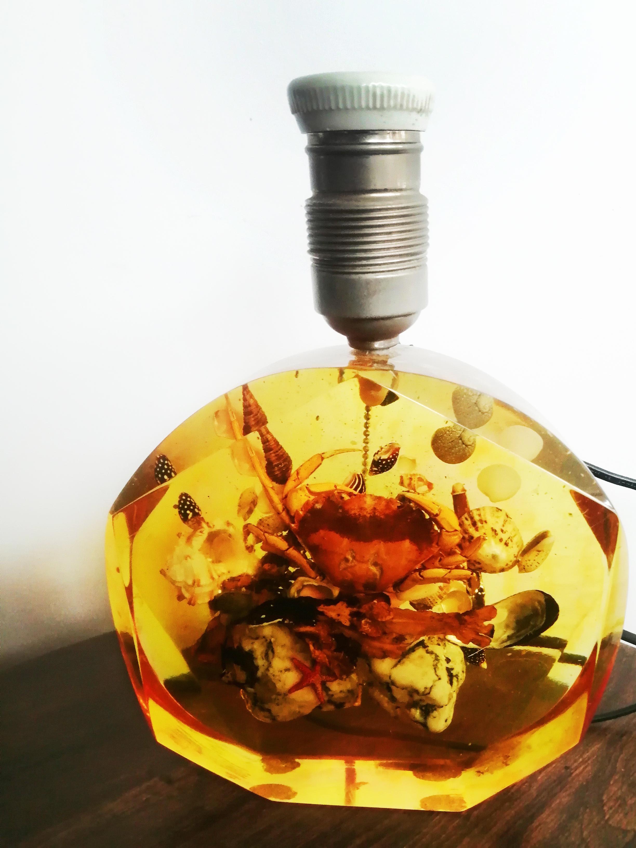 Rare lampe de table spécimens naturels coquillages et résine, original Midcentury Excellent état - En vente à Mombuey, Zamora