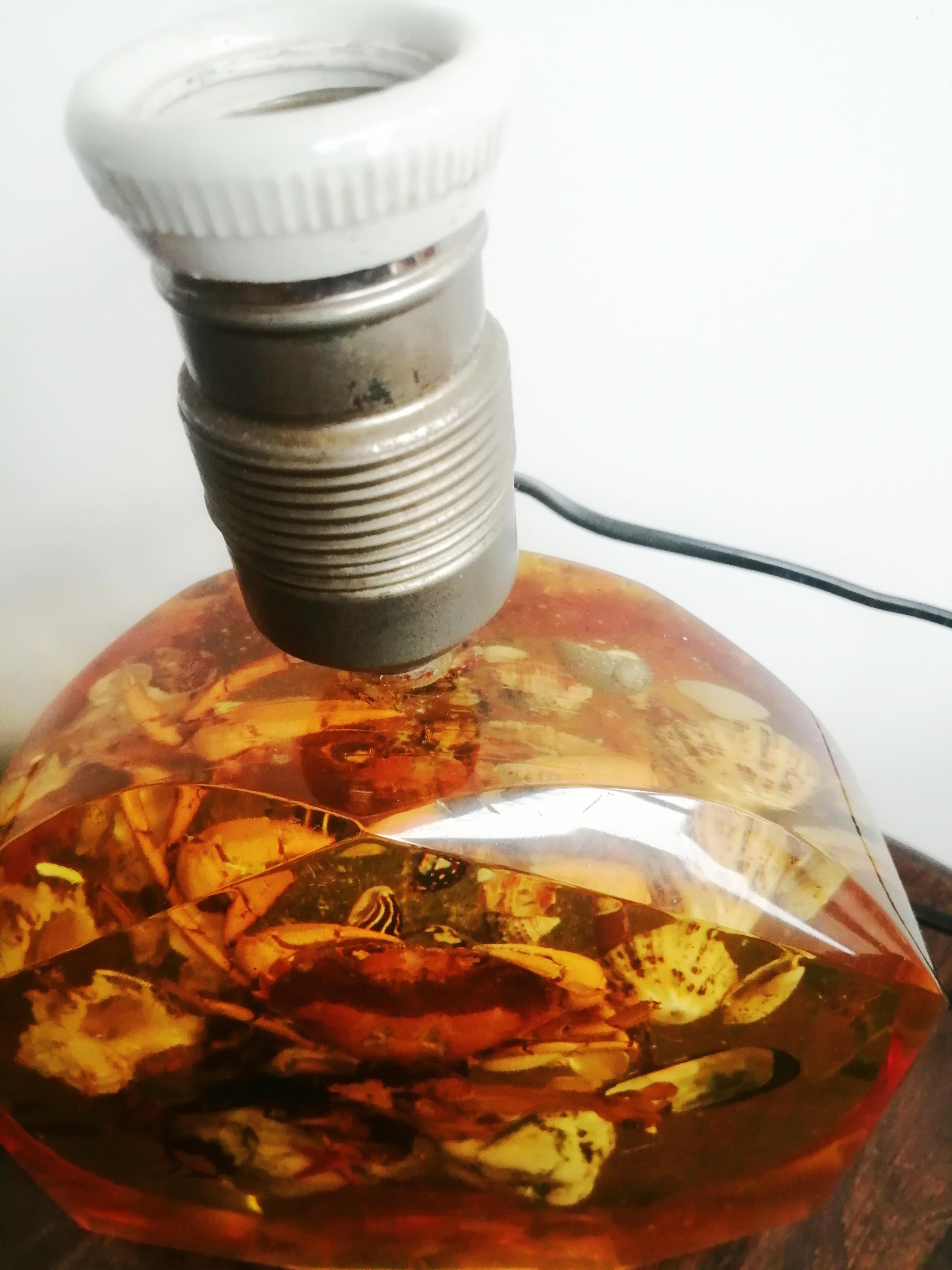 20th Century Talbe Lamp Natural Specimens Shellfish Shells Resin, Original Midcentury For Sale