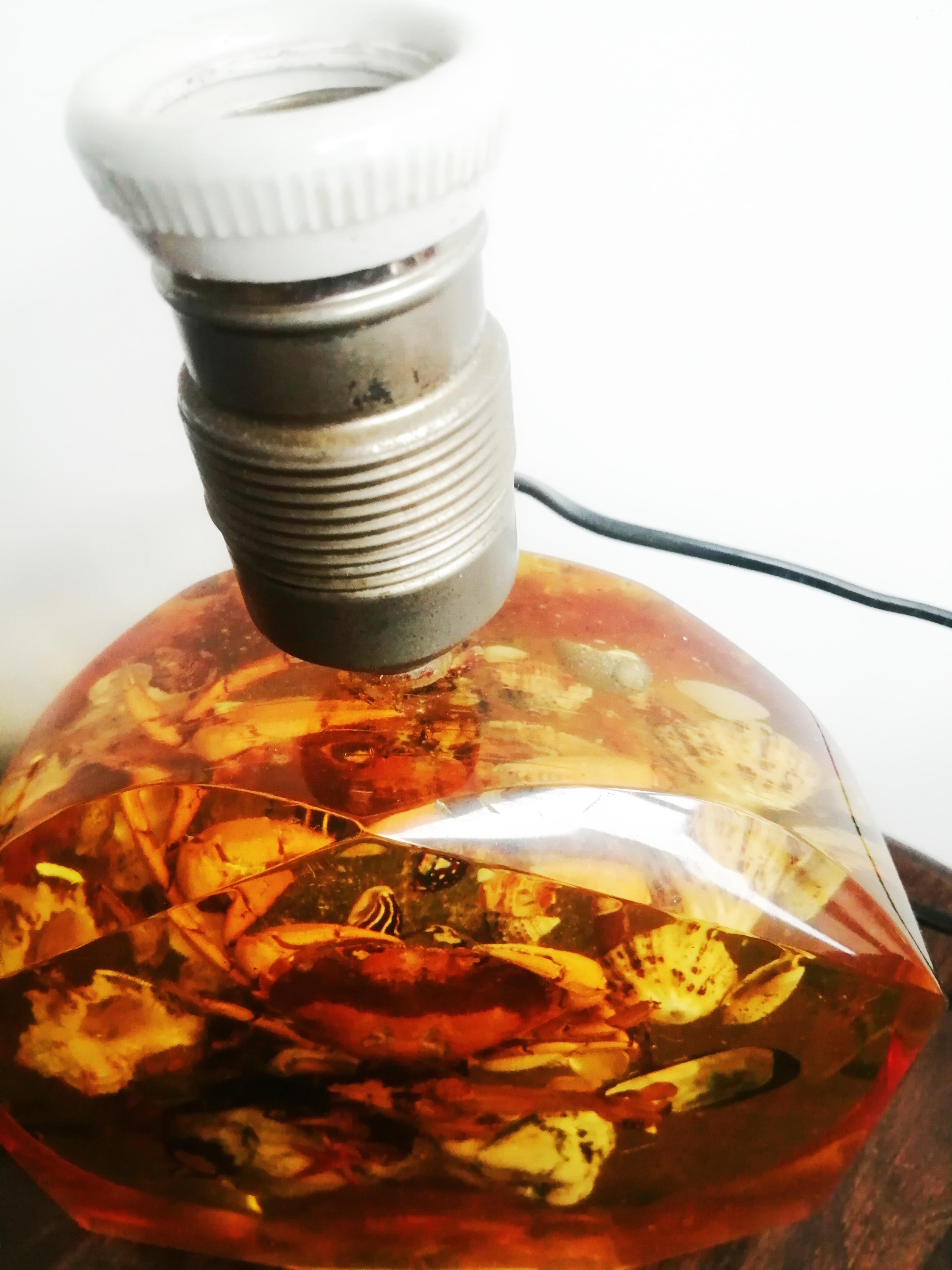 Talbe Lamp Natural Specimens Shellfish Shells Resin, Original Midcentury For Sale 1