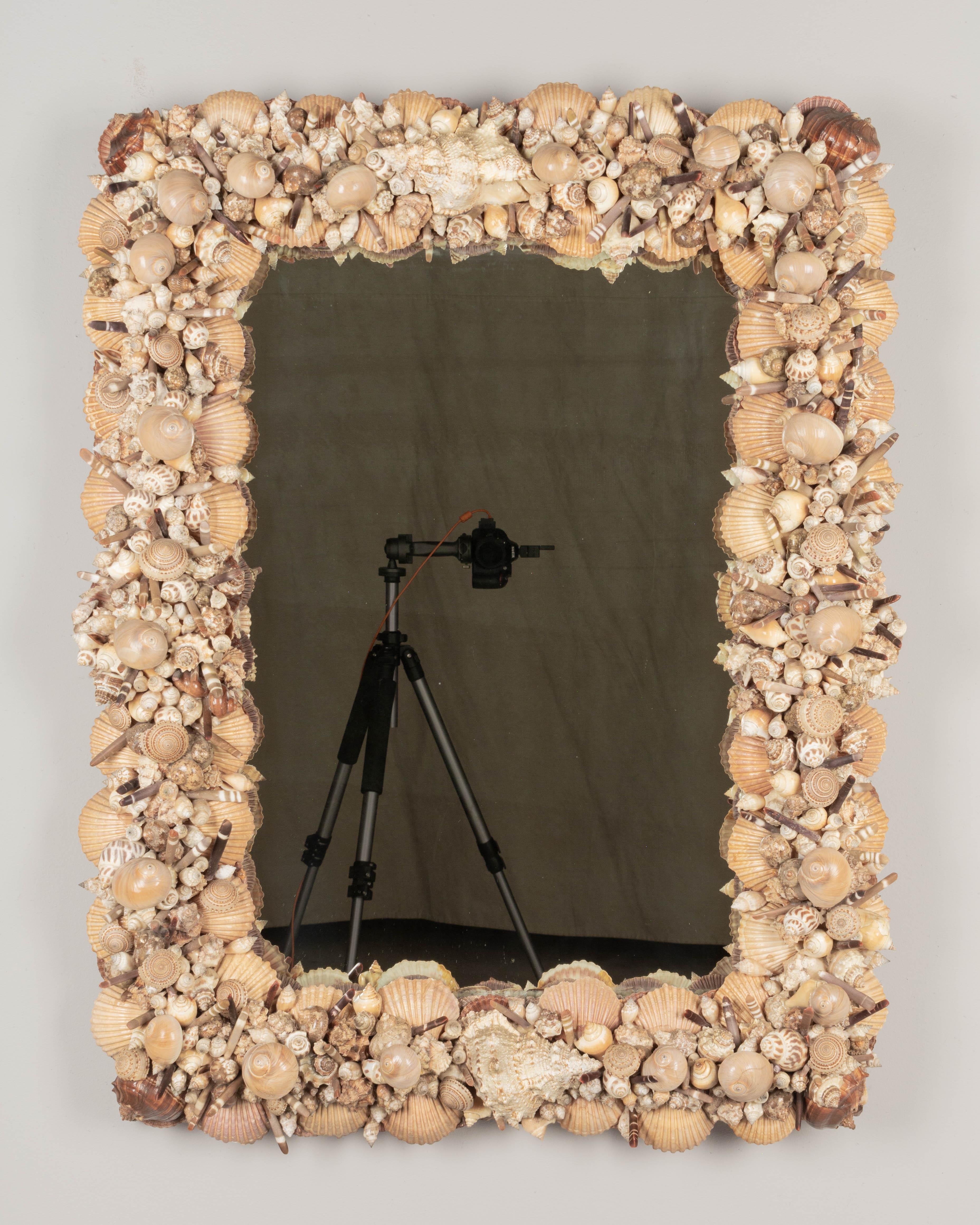 A large Mid Century hand-crafted seashell encrusted wall mirror. Beautiful warm color palette with variety of different shell specimens, including large scallops around the perimeter and two large conch shells at the top and bottom. All arranged in