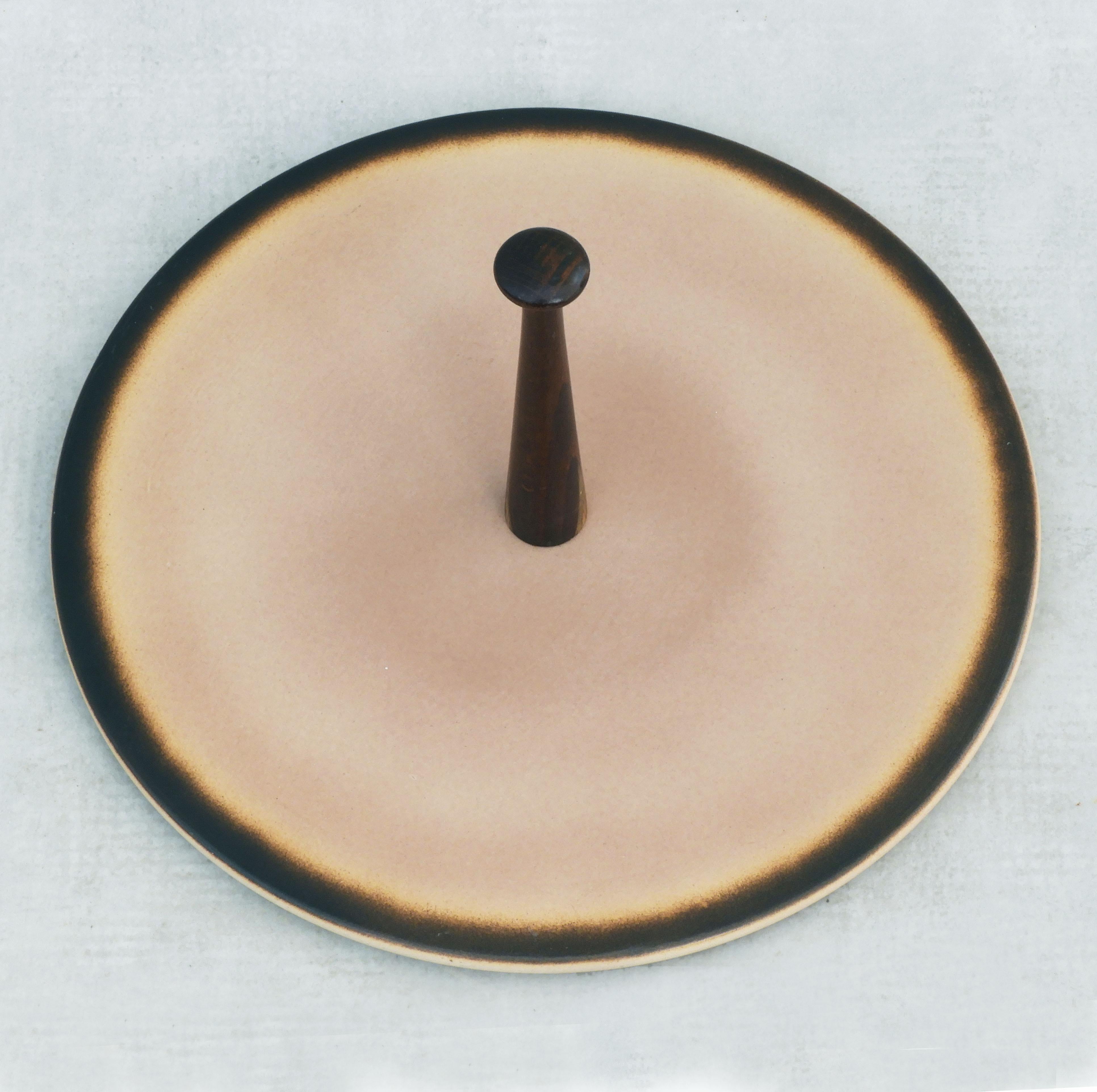Scandinavian Modern Scandinavian Style Serving Platter from Salins, c1960S France
