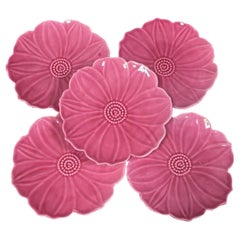 Mid-Century Set of 5 Pink Majolica Flowers Plates Aegitna Vallauris