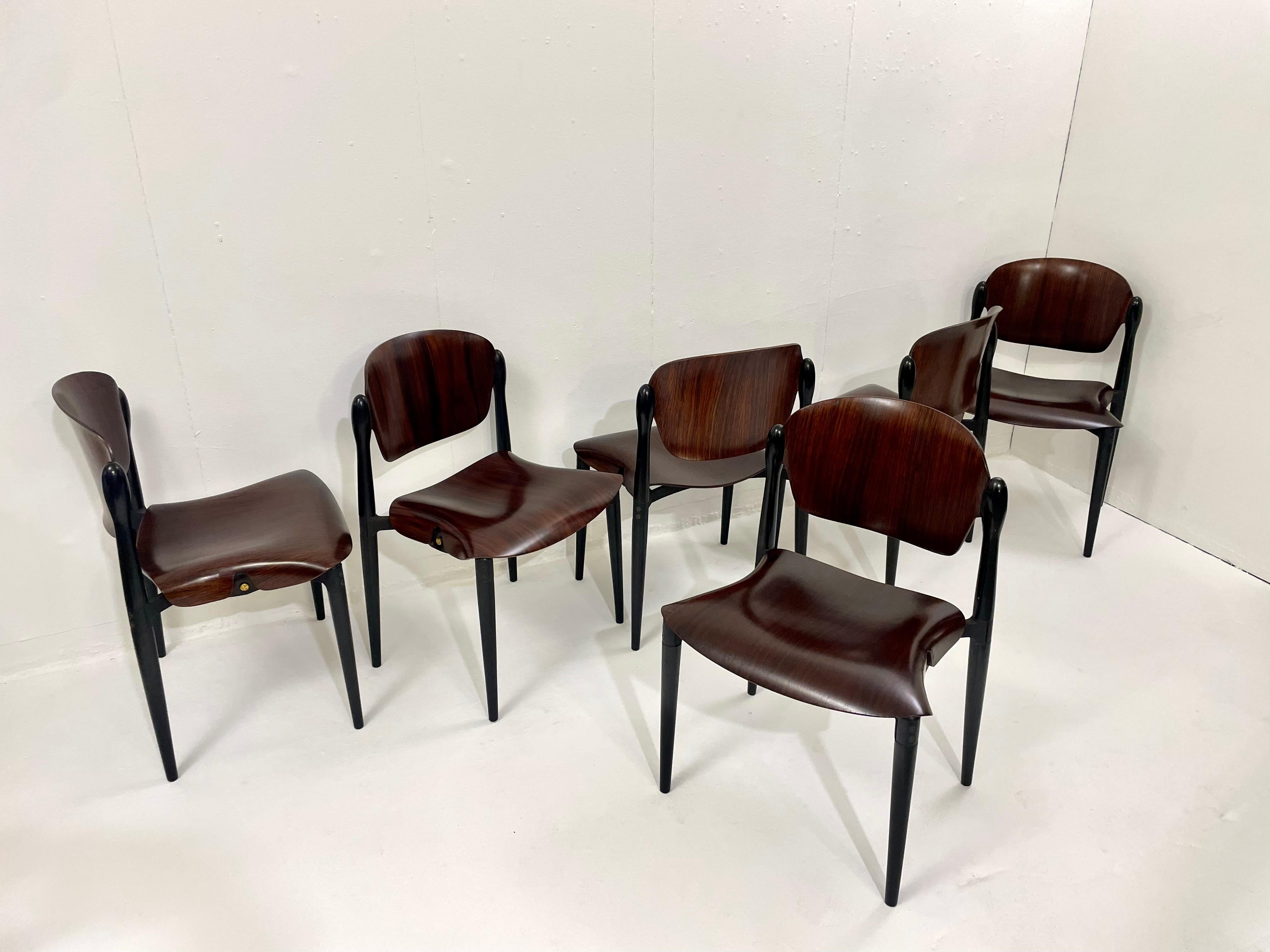 Mid-century set of 6 Eugenio Gerli chairs S83, Tecno, Italy, 1962.