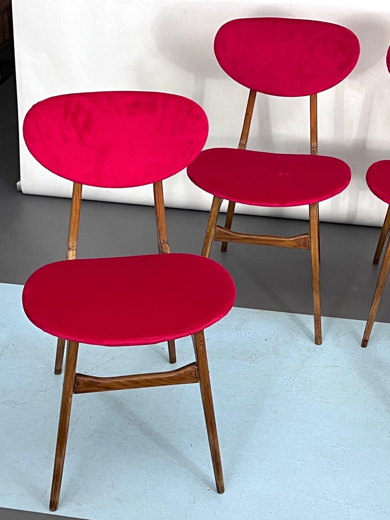 MidCentury Set of Four Red Velvet and Wood Dining Chairs, Italy, 1950s