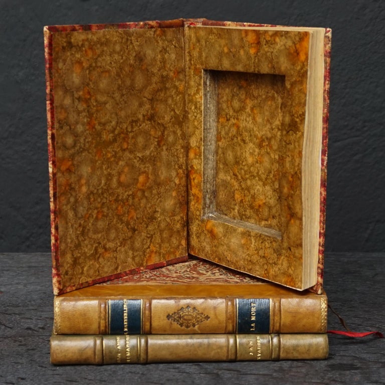 Midcentury Set of French Leather and Paper Faux or Secret Books For Sale 9