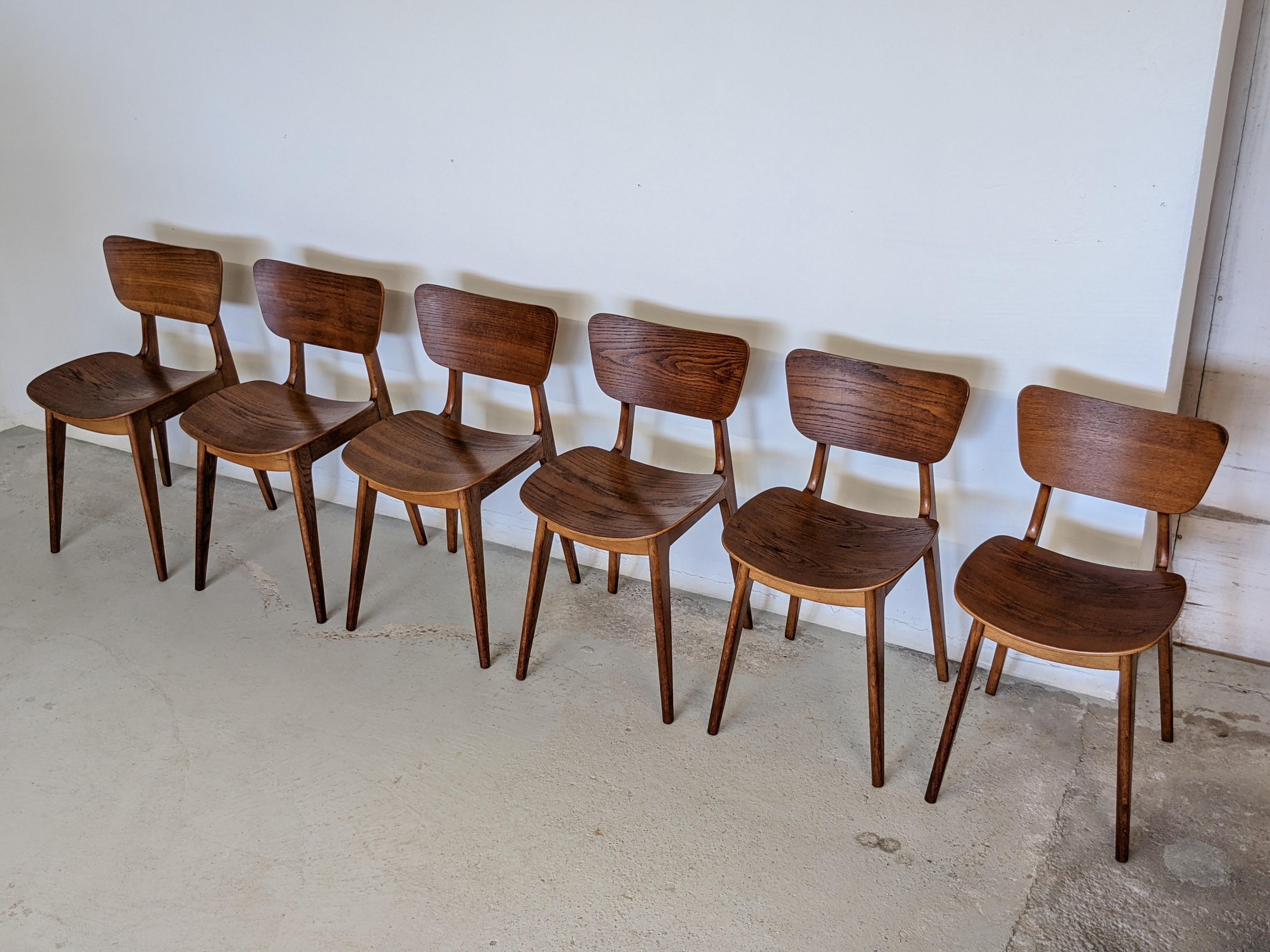 Mid-Century Modern Mid Century Set of Six Oak Wood Dining Chairs by Roger Landault, France, 1950s
