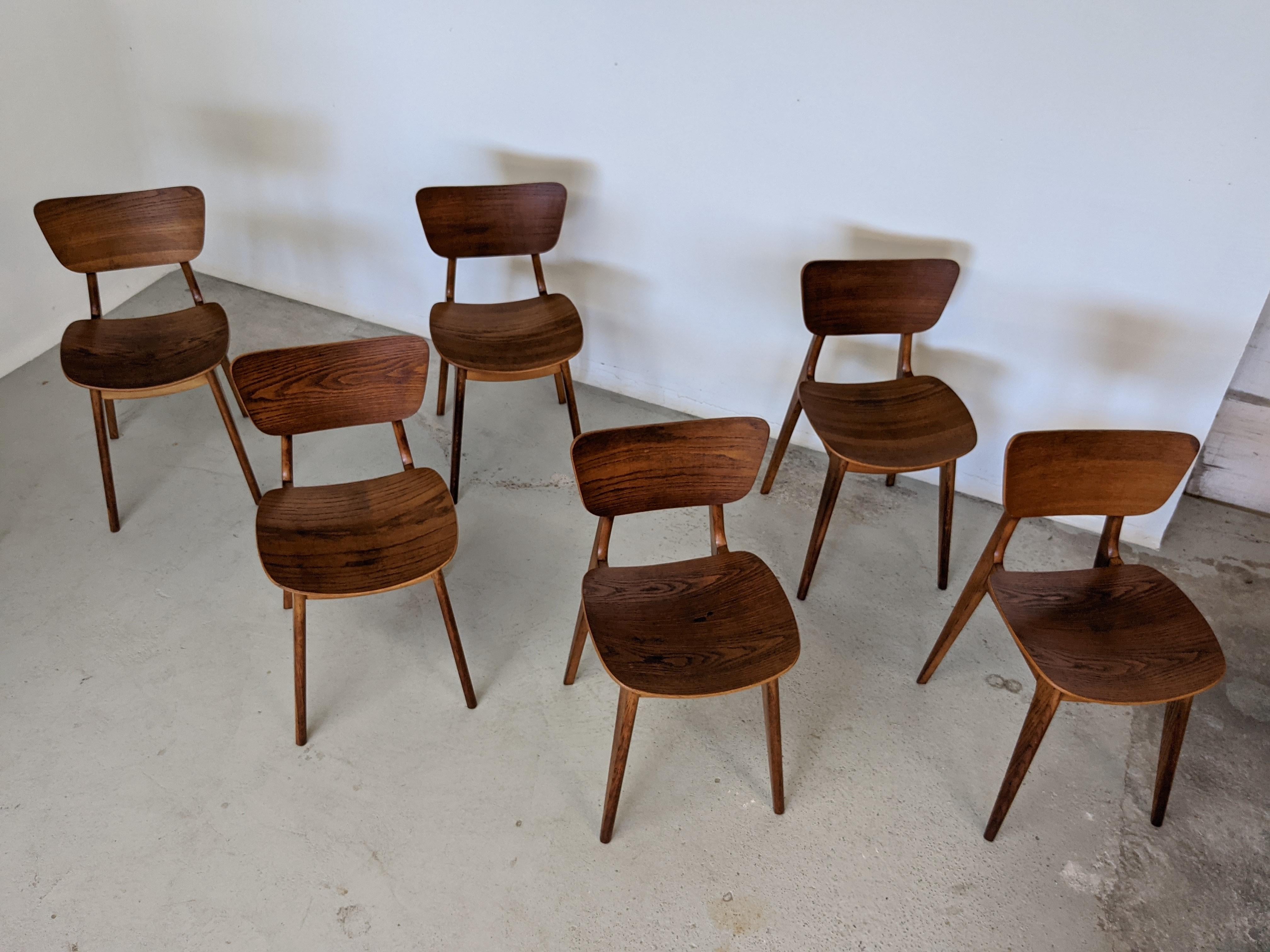 Mid Century Set of Six Oak Wood Dining Chairs by Roger Landault, France, 1950s In Good Condition In La Teste De Buch, FR