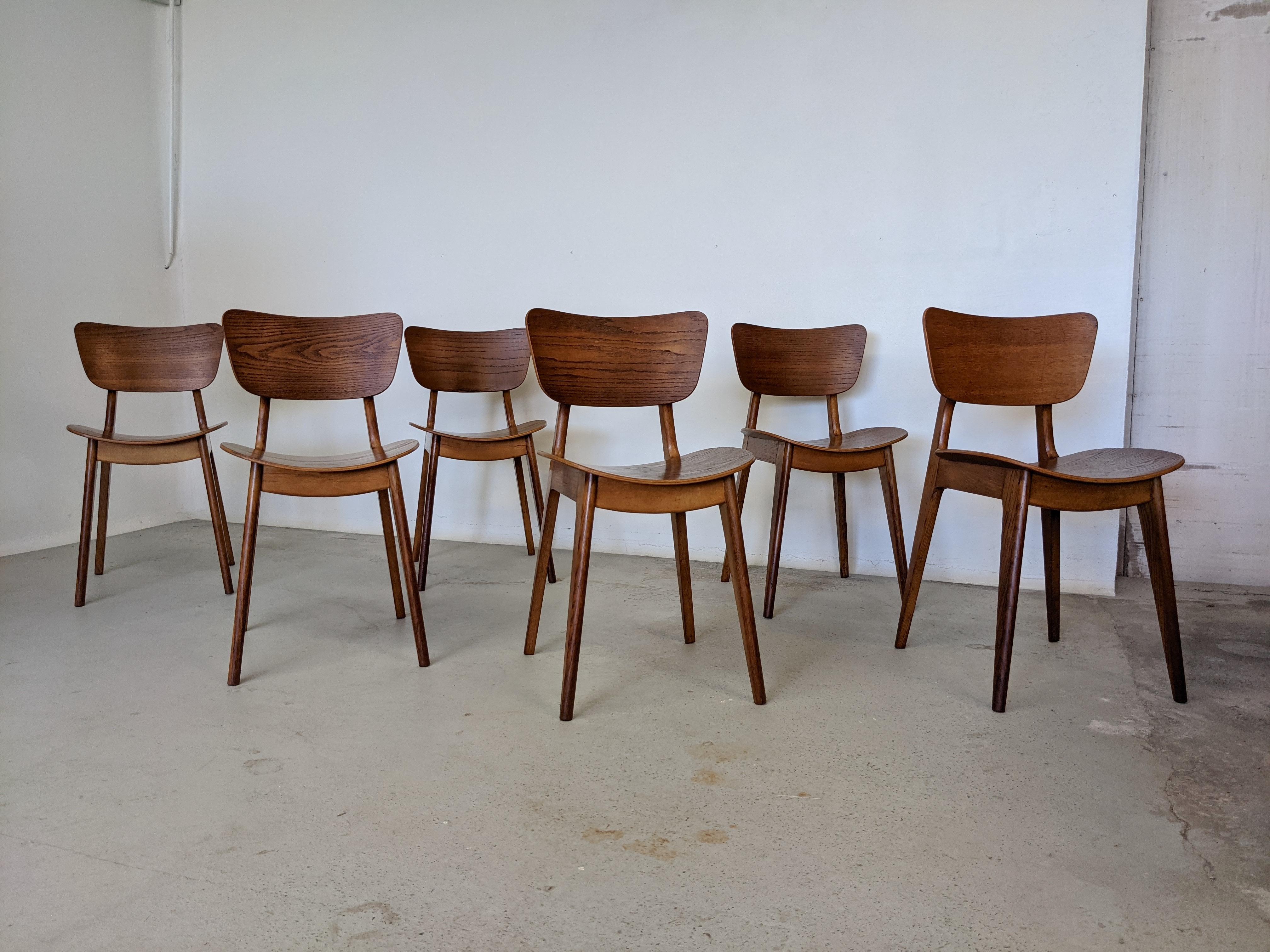 Mid-20th Century Mid Century Set of Six Oak Wood Dining Chairs by Roger Landault, France, 1950s