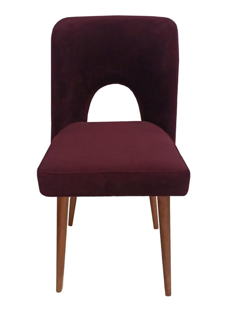 Mid Century Shell Chair, Lila Wollsamt Alexander, Dedar, Europa, 1960er Jahre im Zustand „Hervorragend“ im Angebot in 05-080 Hornowek, PL