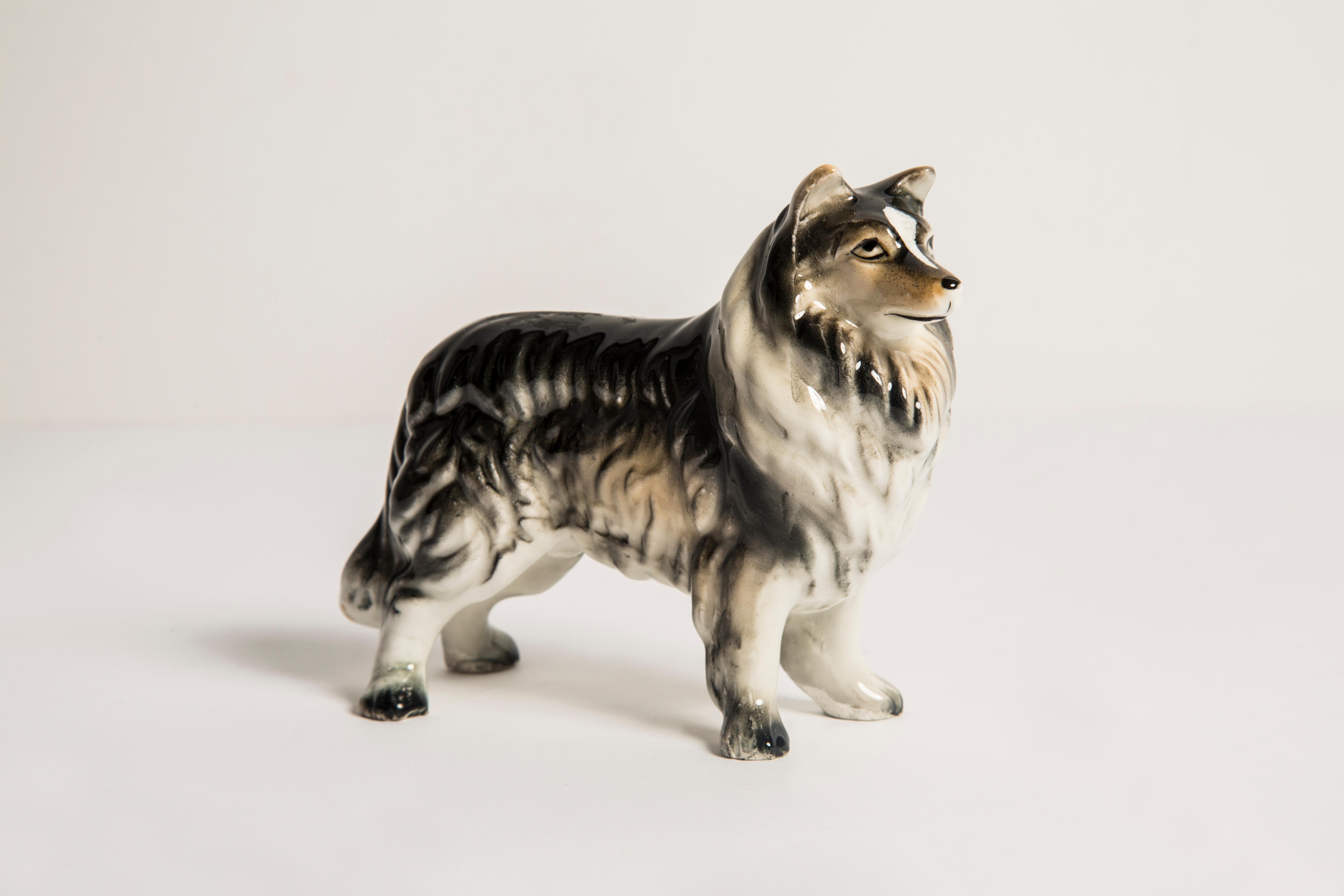 English Midcentury Sheltie Shetland Sheepdog Ceramic Dog Sculpture, Europe, 1960s For Sale