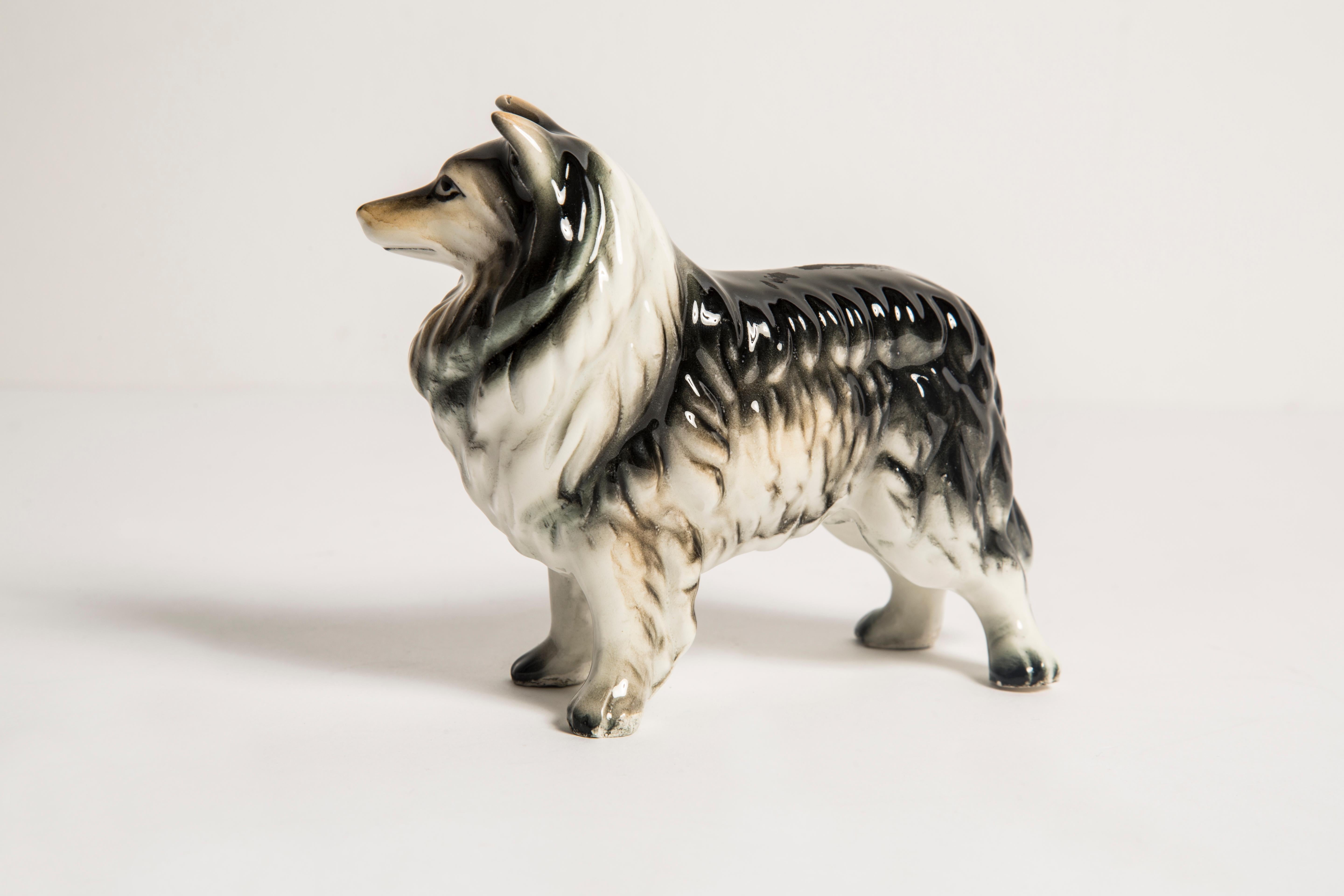 Hand-Painted Midcentury Sheltie Shetland Sheepdog Ceramic Dog Sculpture, Europe, 1960s For Sale