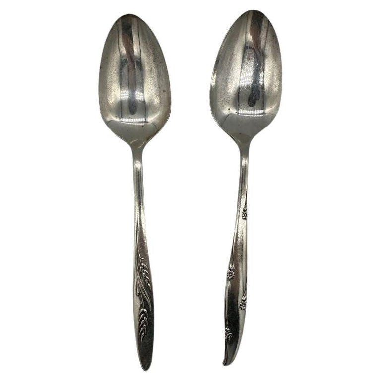 ONEIDA WILLIAM A ROGERS DELUXE STAINLESS SUMMER MIST FLATWARE SET of 69