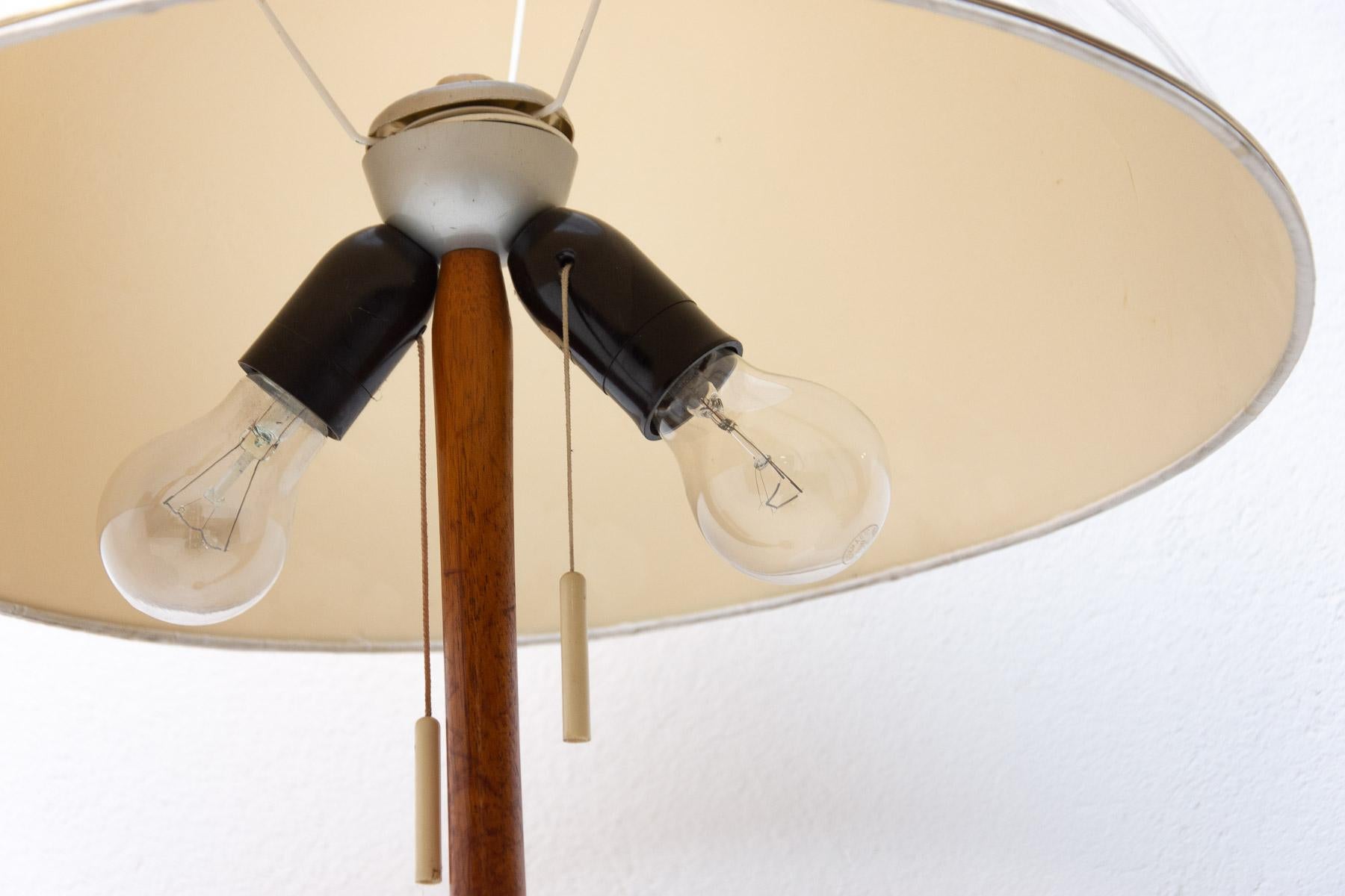 Mid Century Simple Floor Lamp, 1960´s, Czechoslovakia For Sale 2
