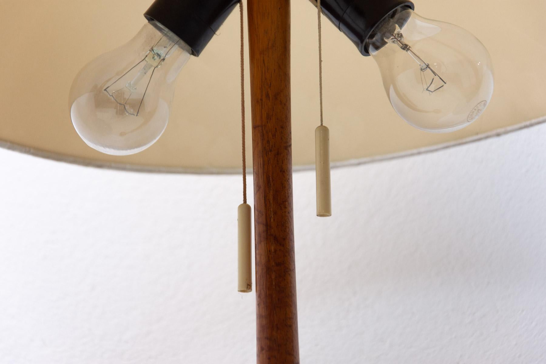 Mid Century Simple Floor Lamp, 1960´s, Czechoslovakia For Sale 3