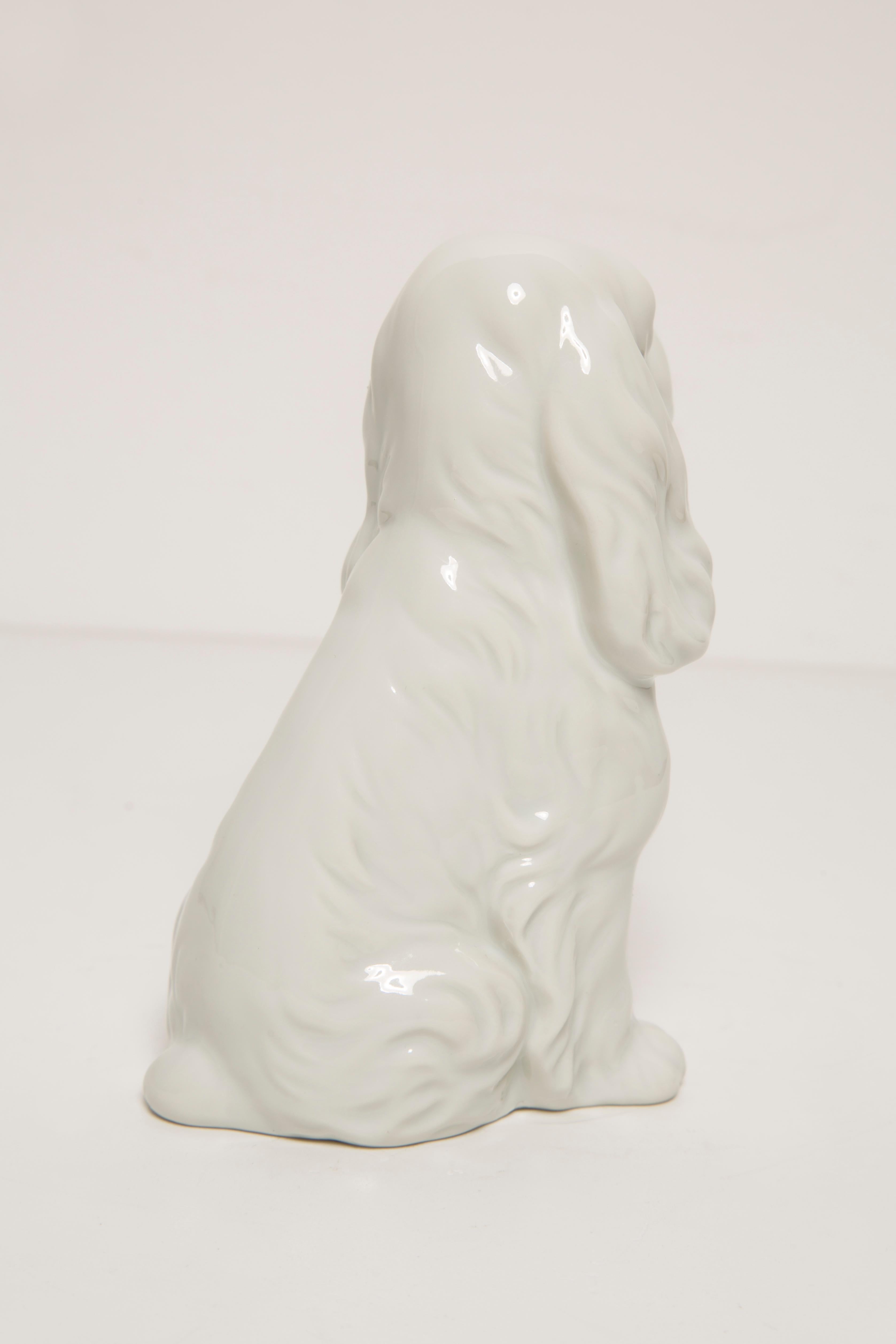 Mid Century Small White Spaniel Dog Sculpture, Italy, 1960s 2
