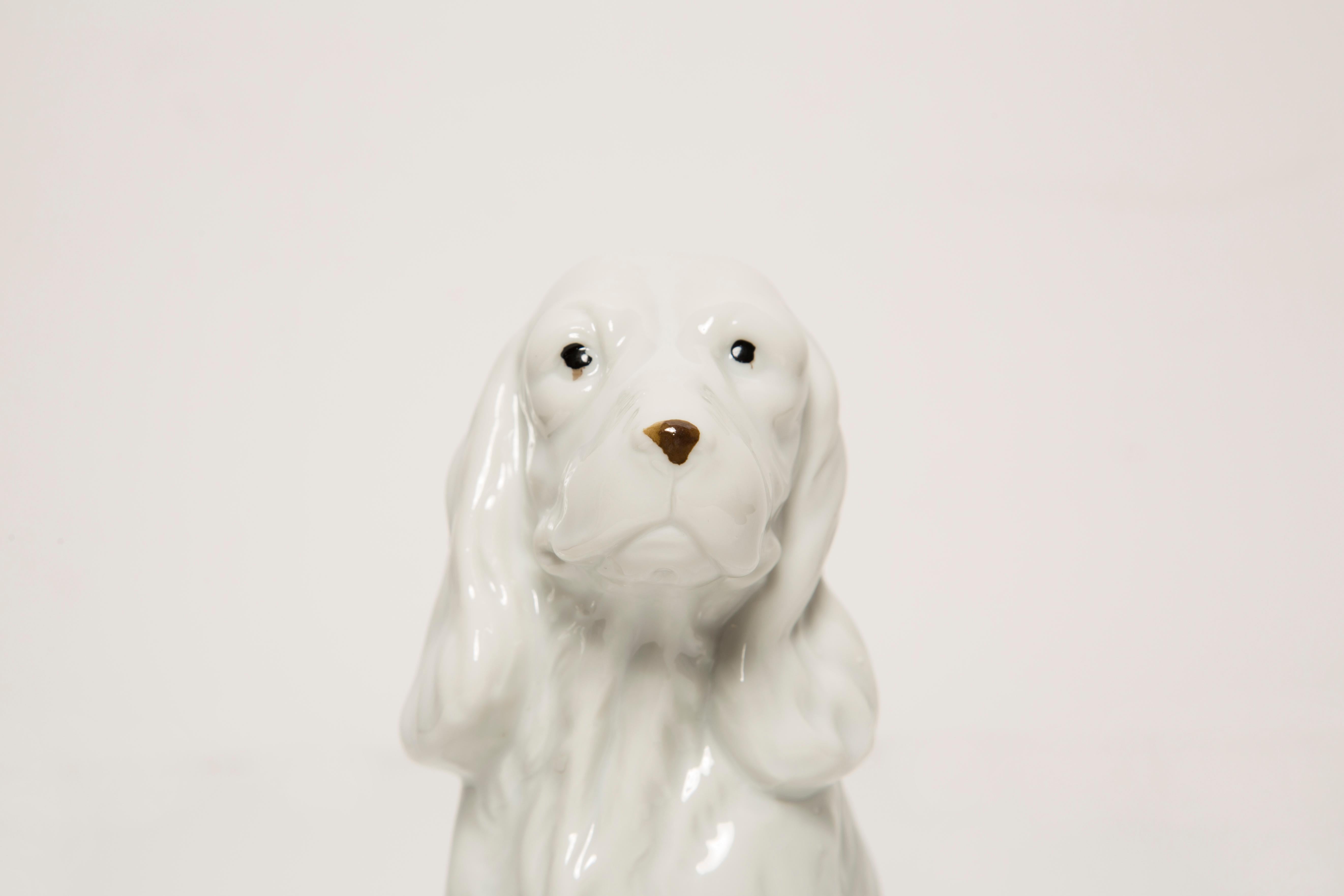 Mid Century Small White Spaniel Dog Sculpture, Italy, 1960s For Sale 4