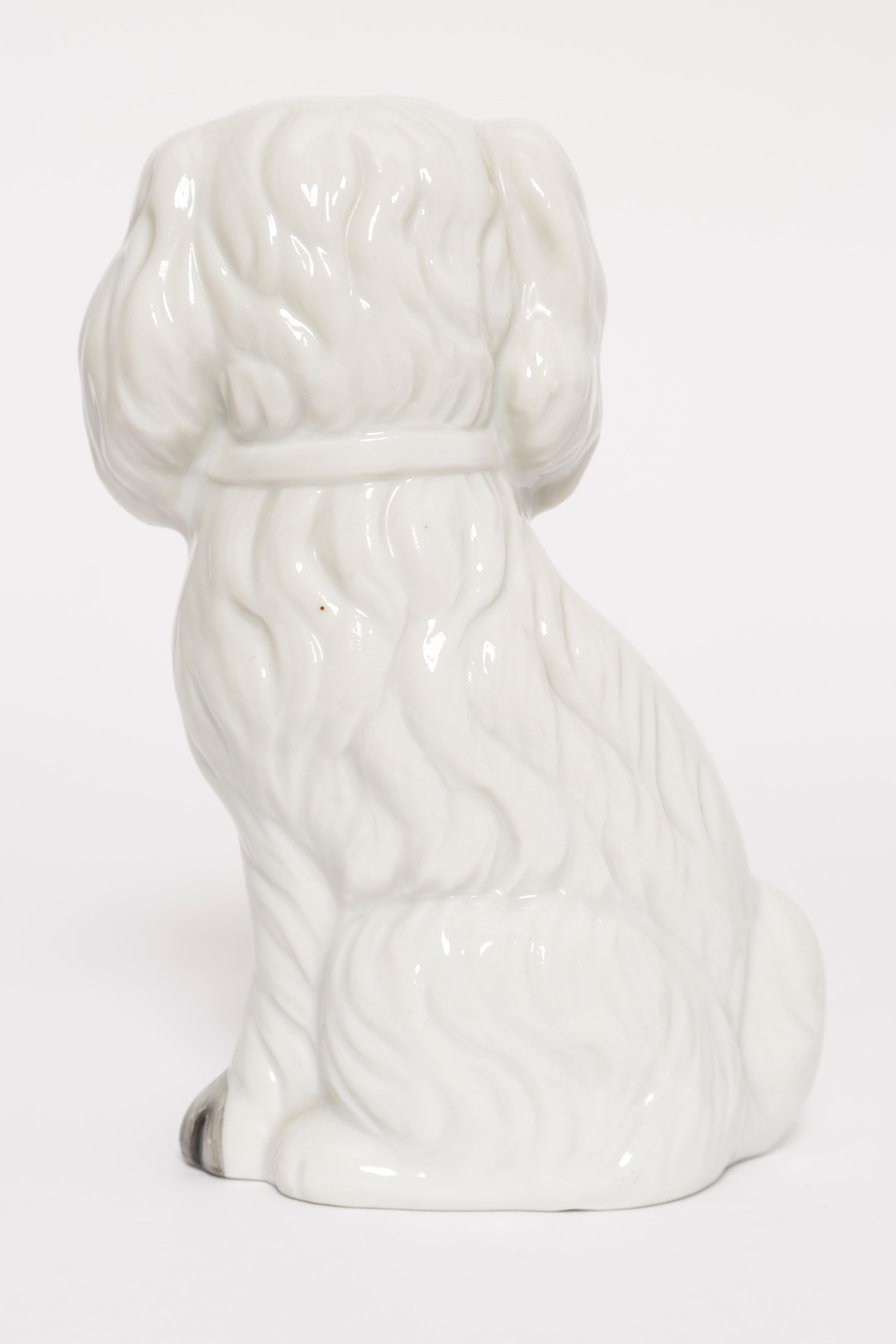 Mid Century Small White Spaniel Dog Sculpture, Italy, 1960s In Good Condition For Sale In 05-080 Hornowek, PL