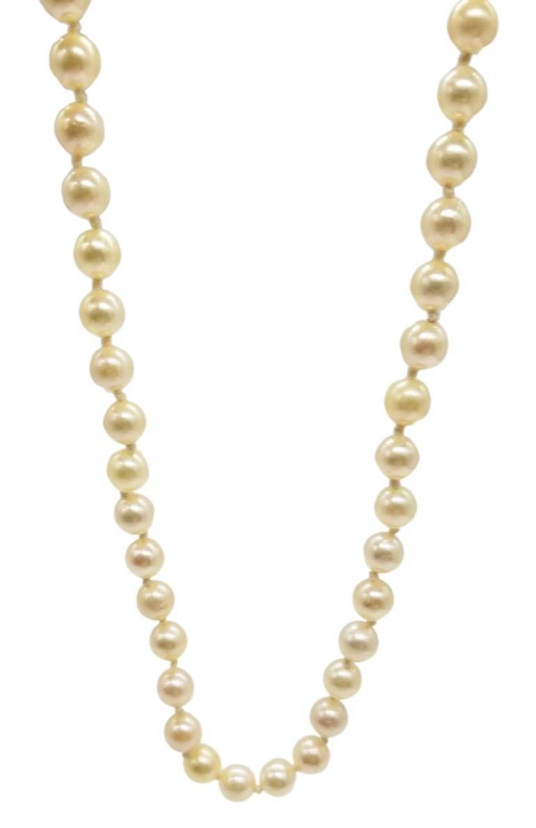 An emblem of mid-century grace, this South Sea light golden tone sea water pearl choker necklace is a refined statement featuring delicate pearls, elegantly strung on fine silk cord. Accentuated by a gold-plated sterling silver clasp, it exudes