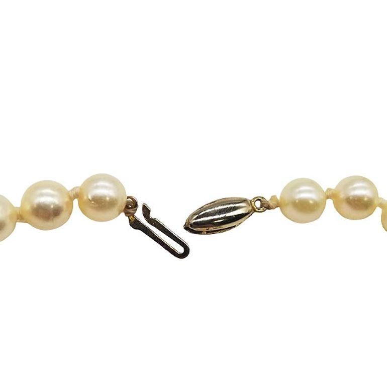 Mid-century South Sea Roud Pearl Choker Necklace on Silk Cord w/ Silver Clasp For Sale 1