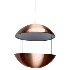 Mid-Century Space Age Danish RS 37 Flower Lamp by Poul Cadovius for Cado, 1960s