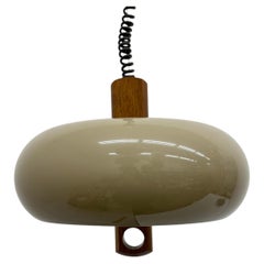 Mid- century Space age Pendant lamp Temde Leuchten , 1970s Germany