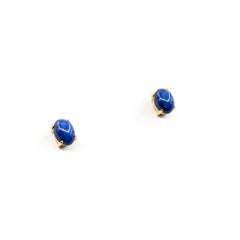 Mid-Century Star Sapphire Stud Earrings in 14k Yellow Gold
