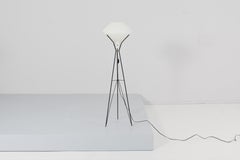 Mid-Century Stilnovo Iron Rod, Brass and Satin Glass Floor Lamp, Italy 50s