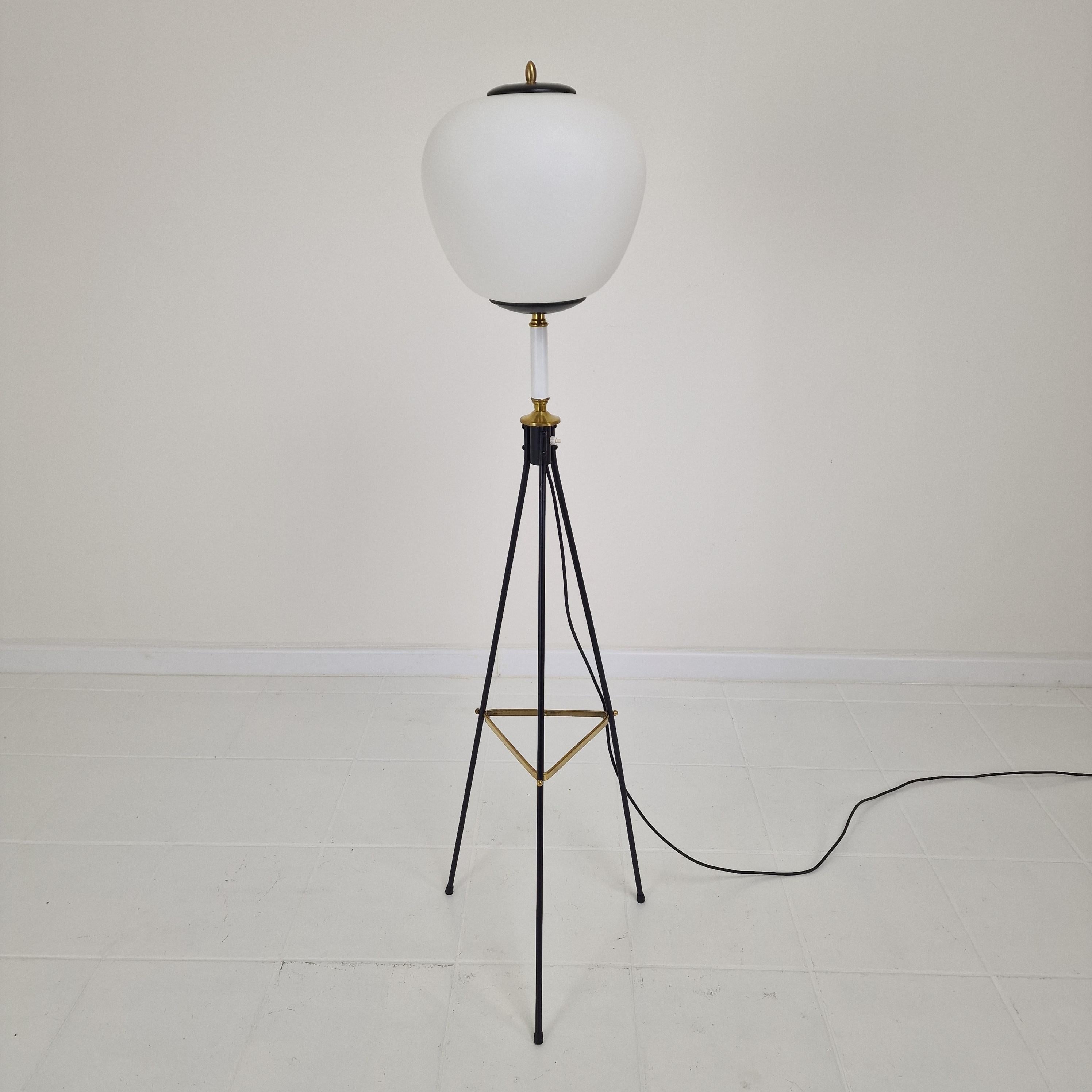 Beautiful Stilnovo Tripod Floor Lamp, Italy, 1950s. 

Black lacquered steel legs with brass accents and an opaline glass shade.

Bulb Specifications: E-27 Bulb.

Some normal traces of use, see the pictures.
The lamp is rewired and restored by a
