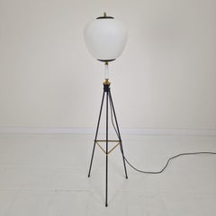 Mid Century Stilnovo Tripod Floor Lamp with Opaline Glass, Italy 1950's