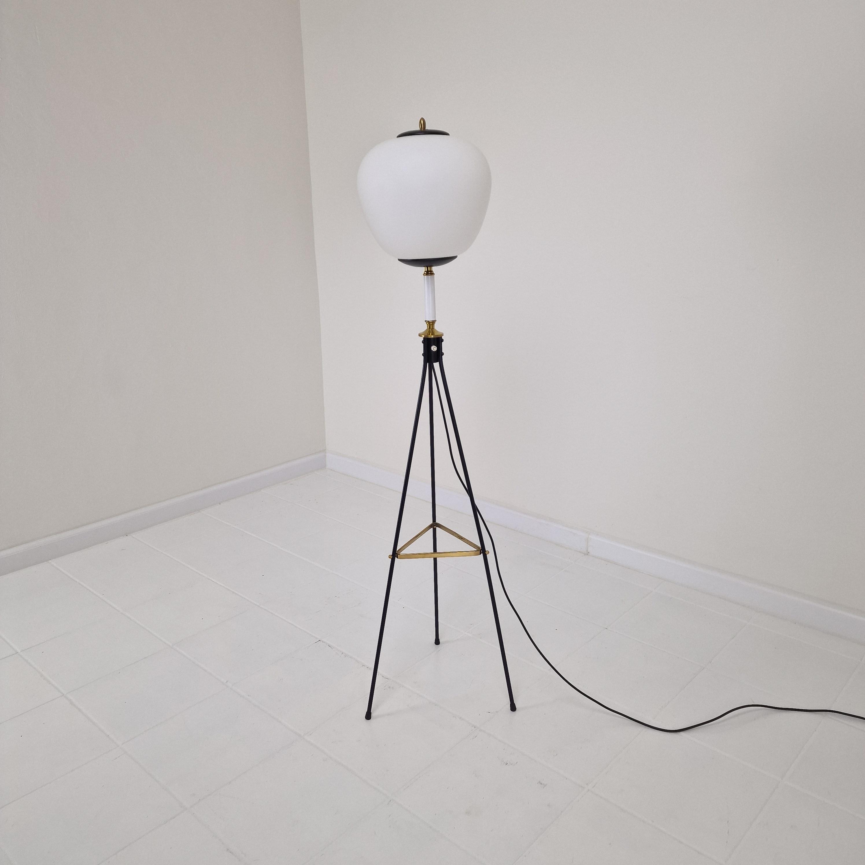 Mid Century Stilnovo Tripod Floor Lamp with Opaline Glass, Italy 1950's For Sale 1