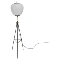 Mid Century Stilnovo Tripod Floor Lamp with Opaline Glass, Italy 1950's