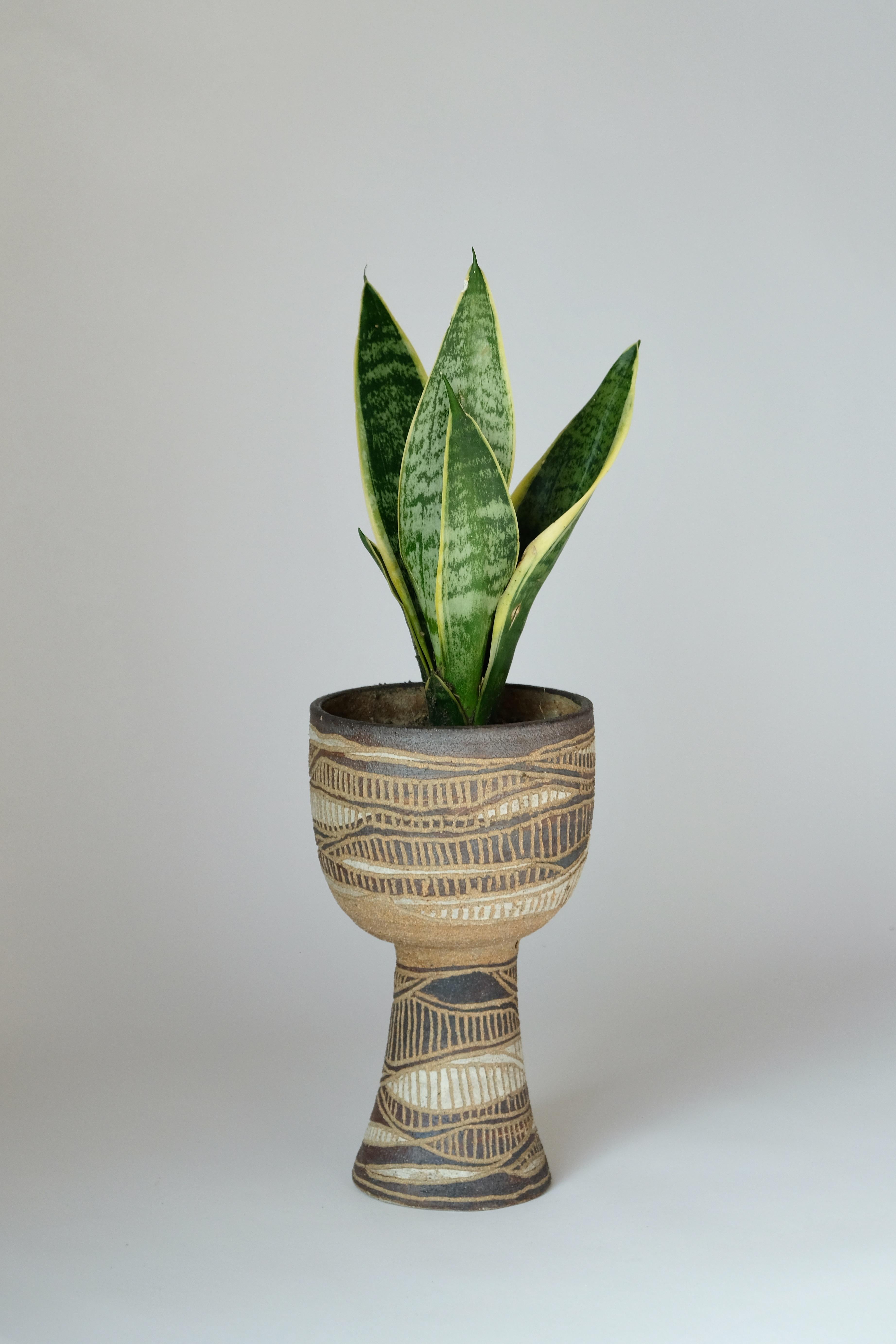 Vintage stoneware planter in chalice form with incised design features. Has a drainage hole. Very good vintage condition with only minor fleabites to the ceramic. Includes plant if picked up in Los Angeles.