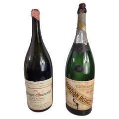 Mid-Century Store Display Bottles Champagne, France, C1955