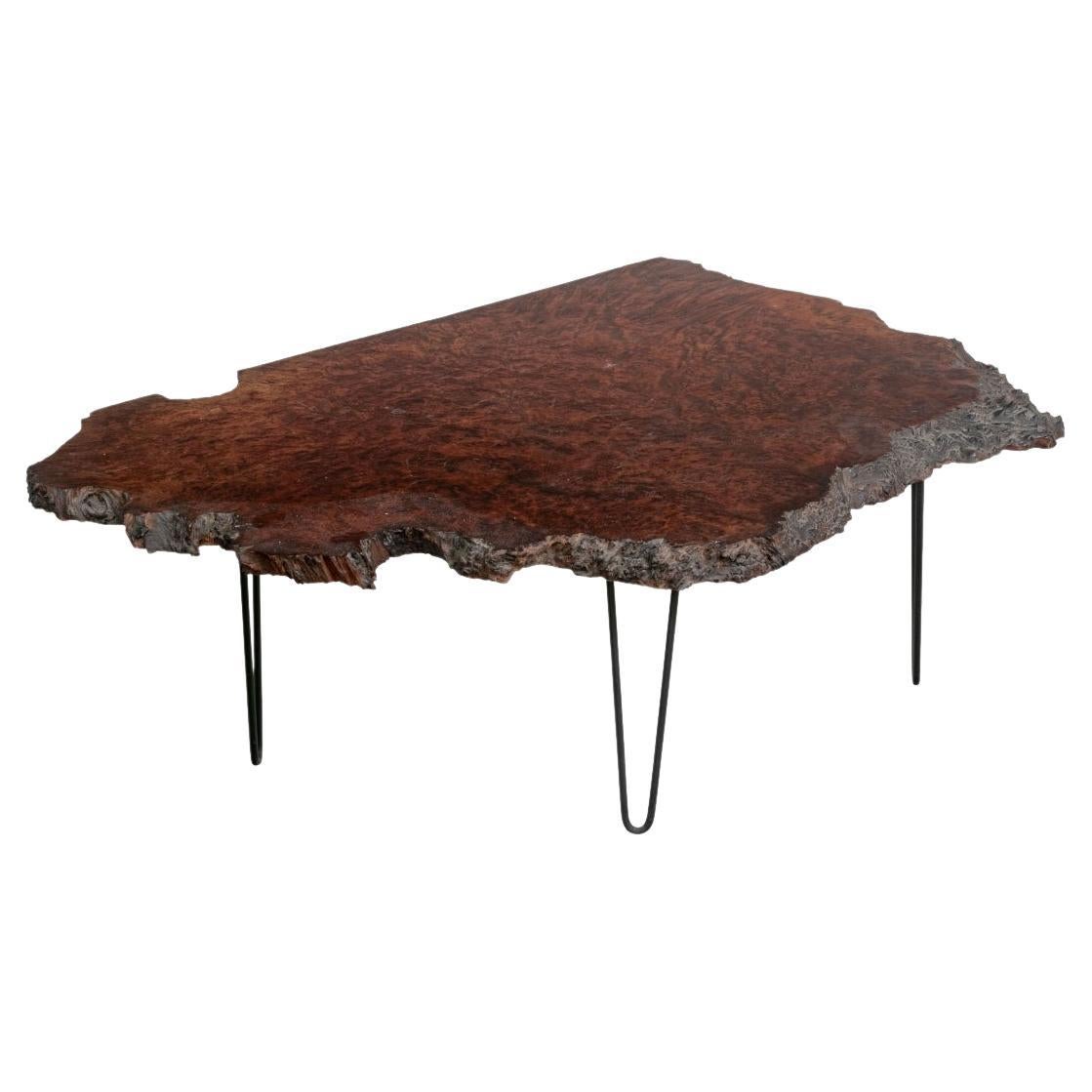 Mid Century Style Live Edge Burl Cocktail Table For Sale
